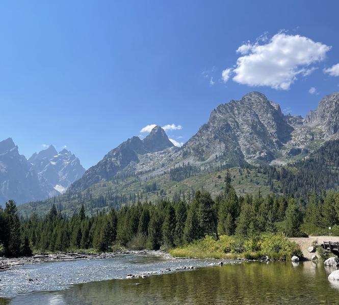 Jagged granite peaks rise above pine forest & clear mountain river with rocky shoreline under bright blue sky with white clouds