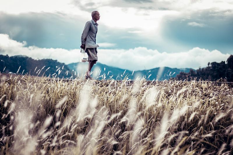 An older man walking through a field of tall, dry grass, with a peaceful expression on his face. He is dressed in a simple, long-sleeved shirt and shorts, and is barefoot. In his right hand, he carries a transparent plastic container. The grass is golden and swaying, due to a gentle breeze. The background is dominated by a dramatic sky filled with clouds that suggest an approaching storm, and mountains in the distance. The lighting of the photograph gives it a serene and slightly ethereal quality, with the man's figure sharply contrasted against the paler sky. The overall mood of the image is one of solitude and tranquility in nature.