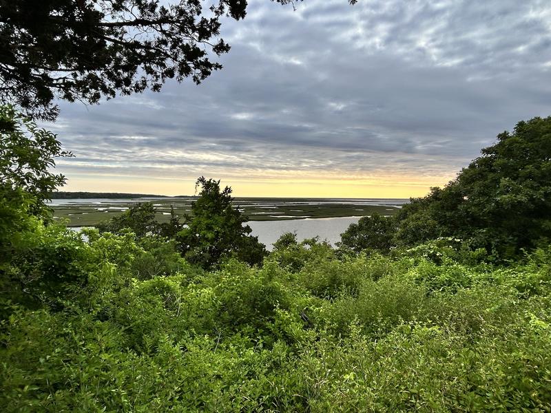 Golden sunset illuminates tidal marshlands through dense coastal forest canopy, with winding waterways reflecting dramatic storm clouds overhead