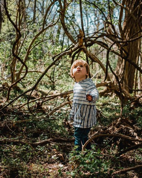 A toddler boy gazes up into the forest with curiosity