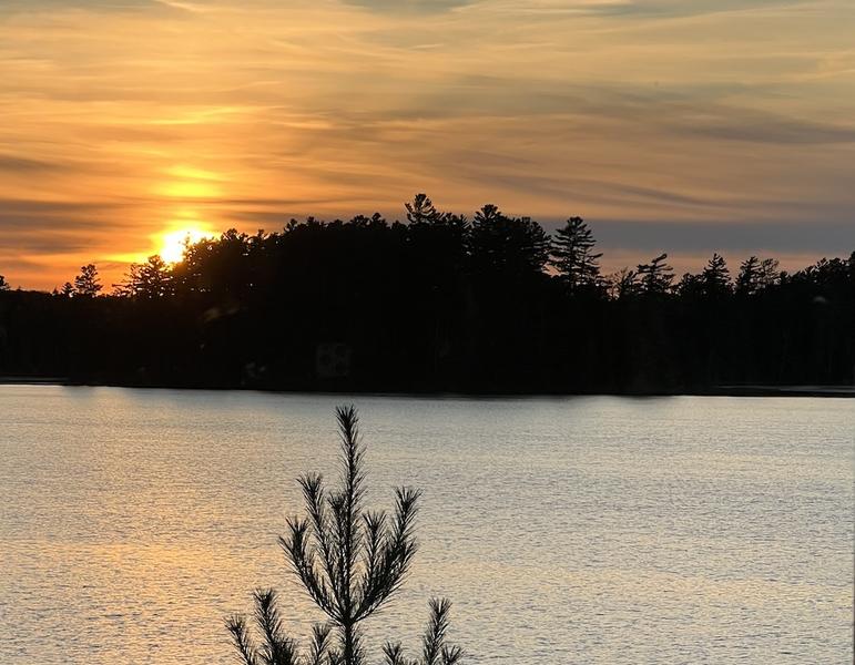 The sun sets behind a copse of trees across a placid lake above an evergreen bough in the foreground